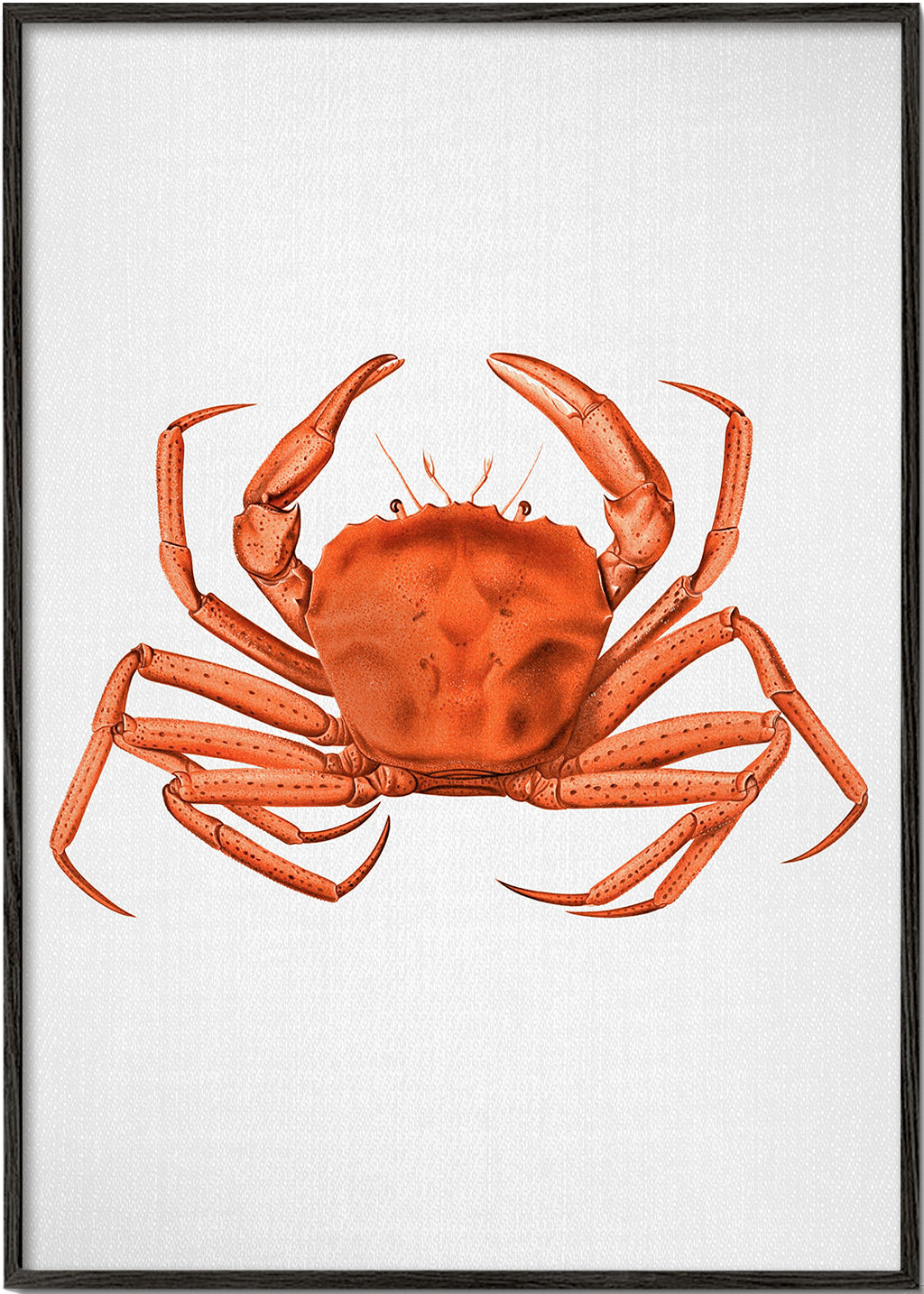 Dzieło krab akwarela pomarańczowy