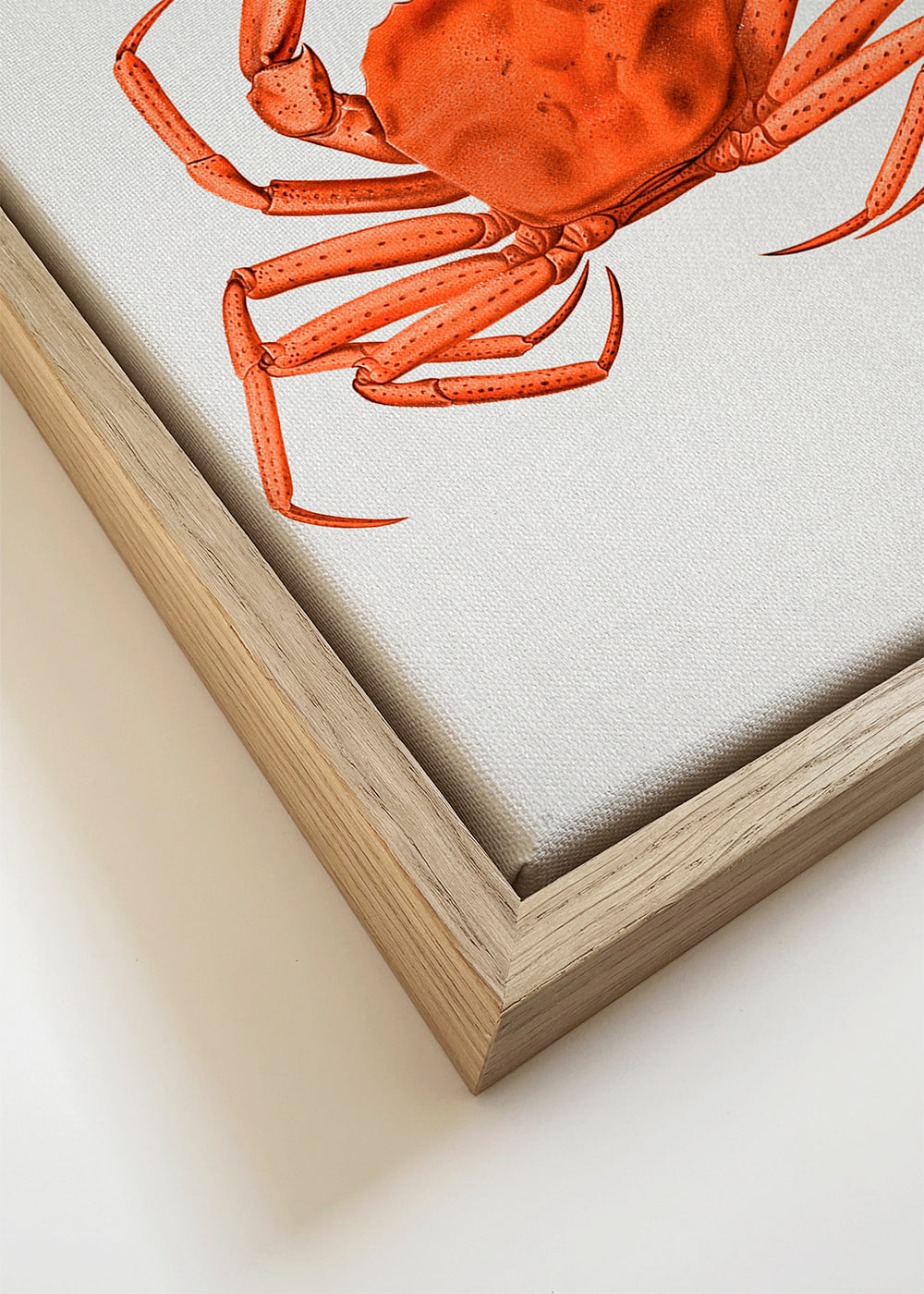 Dzieło krab akwarela pomarańczowy