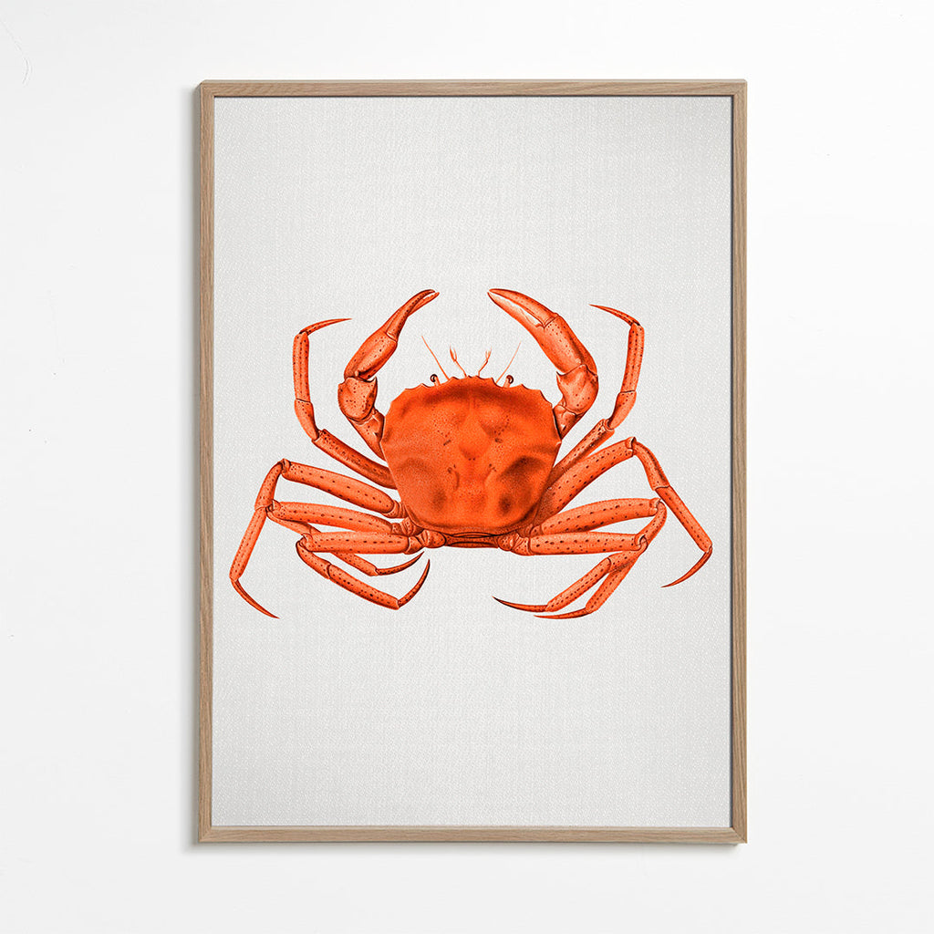 Dzieło krab akwarela pomarańczowy