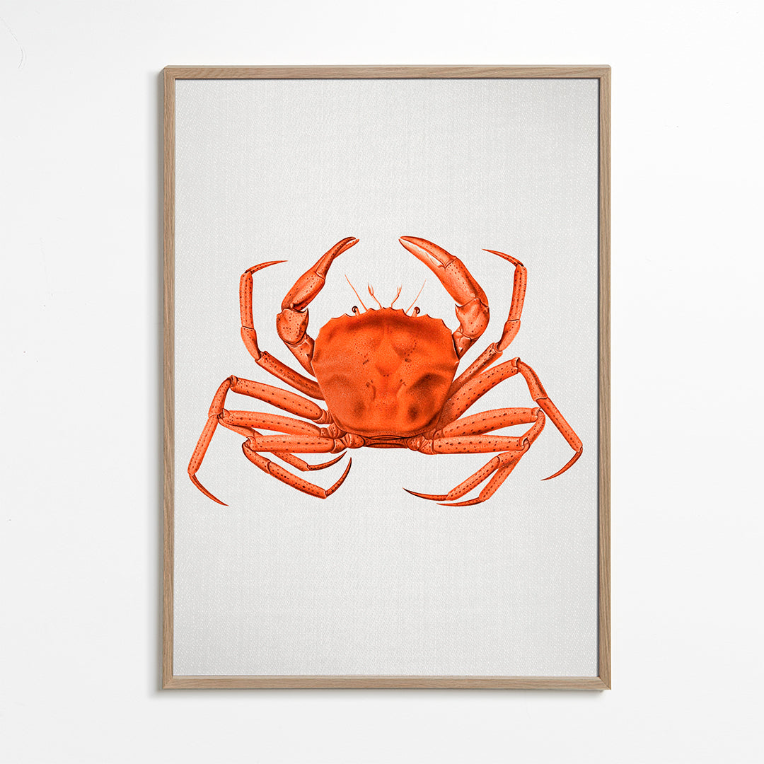 Dzieło krab akwarela pomarańczowy