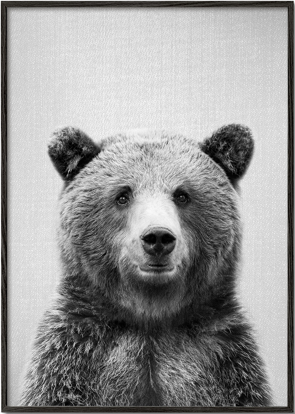 Portret niedźwiedzia czarno-biały