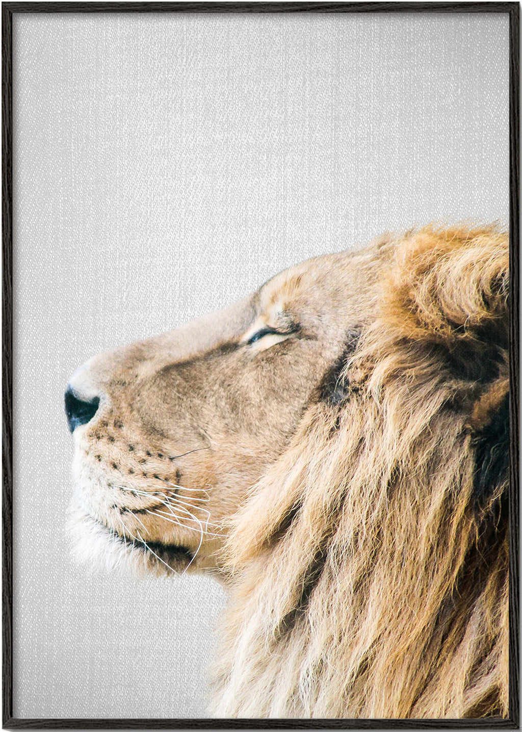 Plakat portret lwa