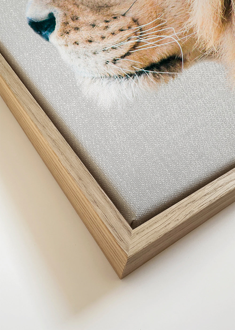 Plakat portret lwa