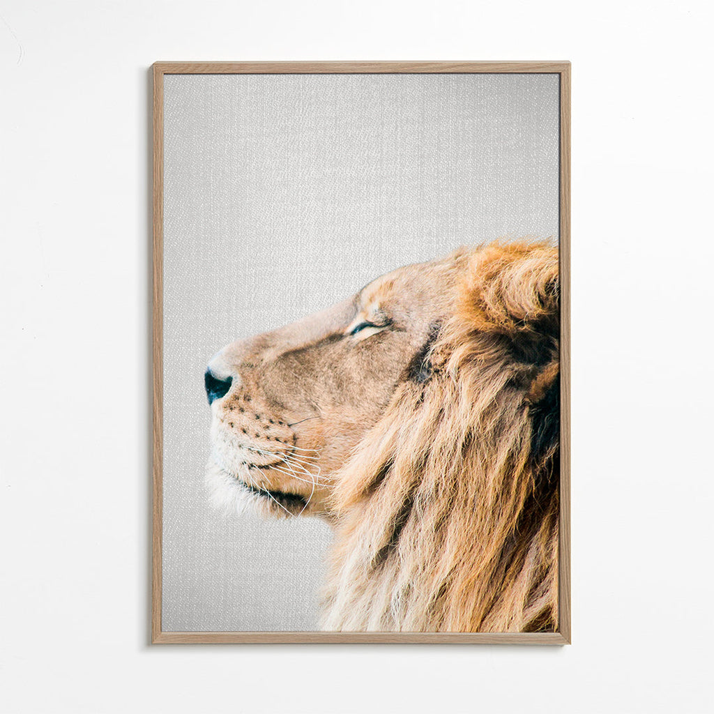 Plakat portret lwa