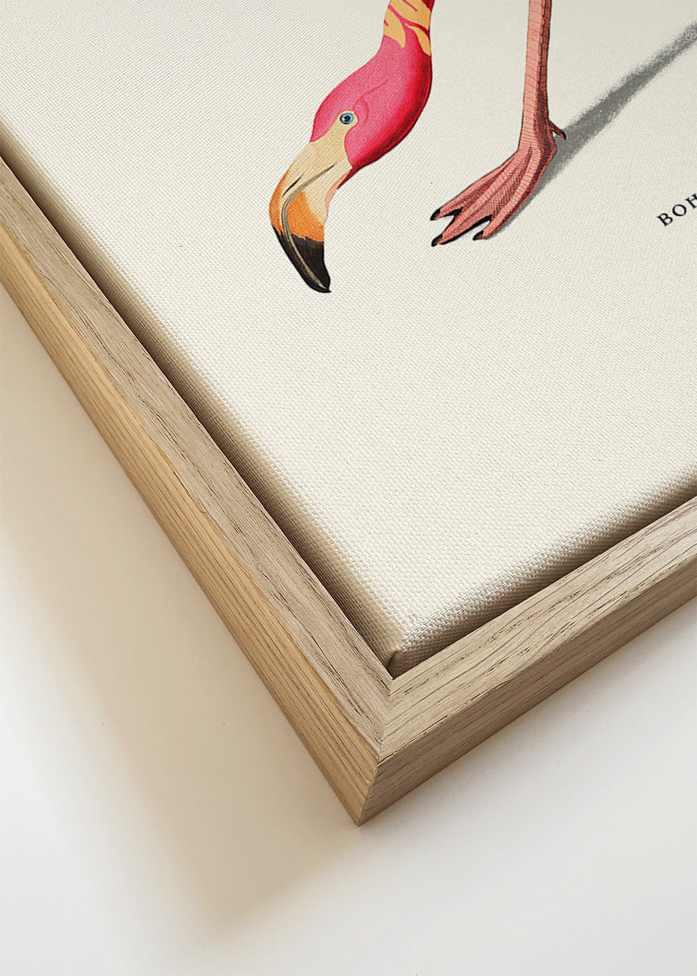 Ilustracja flaminga boho