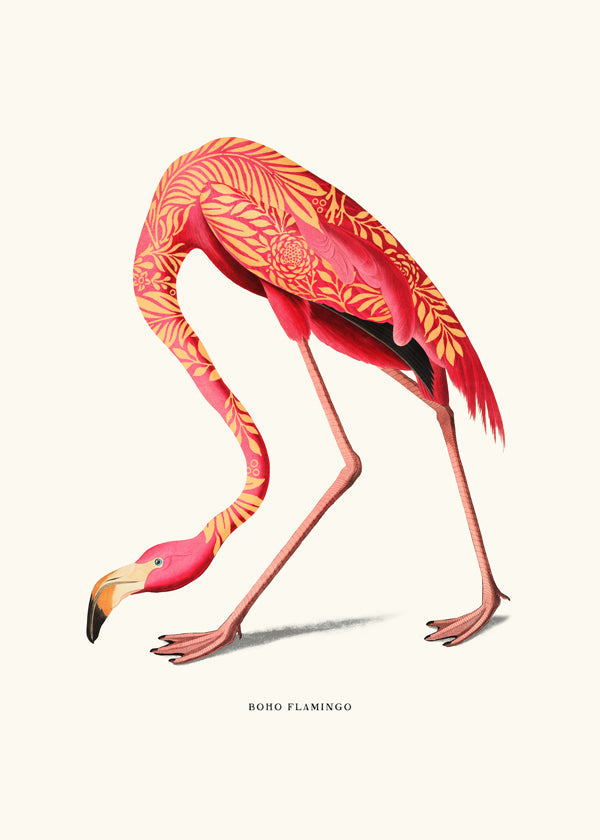 Ilustracja flaminga boho