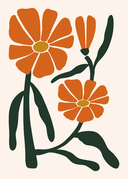 Plakat botaniczny z pomarańczowymi kwiatami