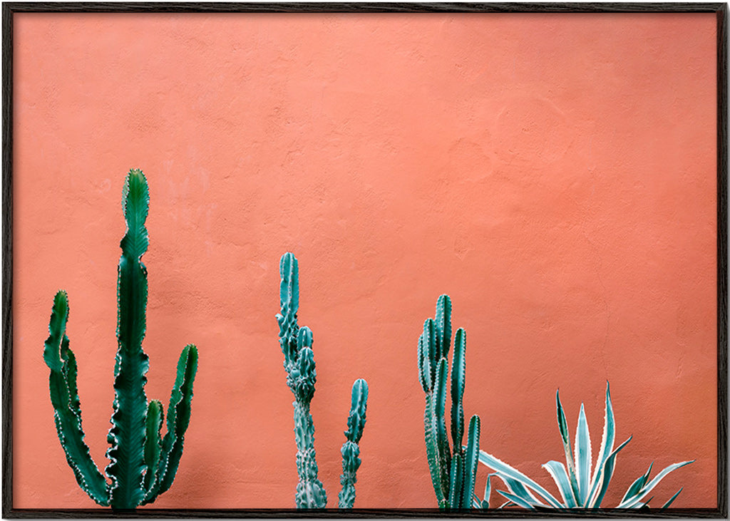Plakat botaniczny z kaktusami na terakotowej ścianie – Black Frame