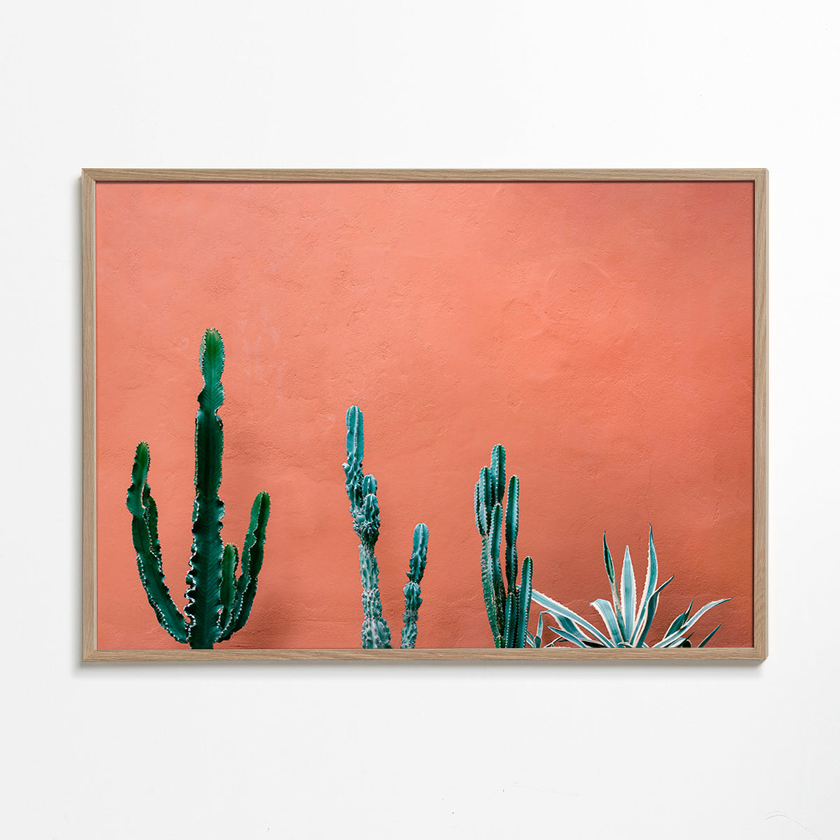 Plakat botaniczny z kaktusami na terakotowej ścianie – Oak Frame