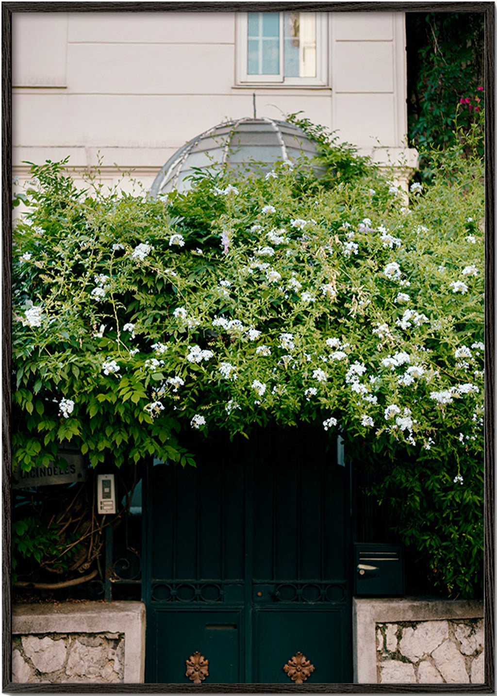 Plakat botaniczny z białą pnączową przy furtce – Black Frame