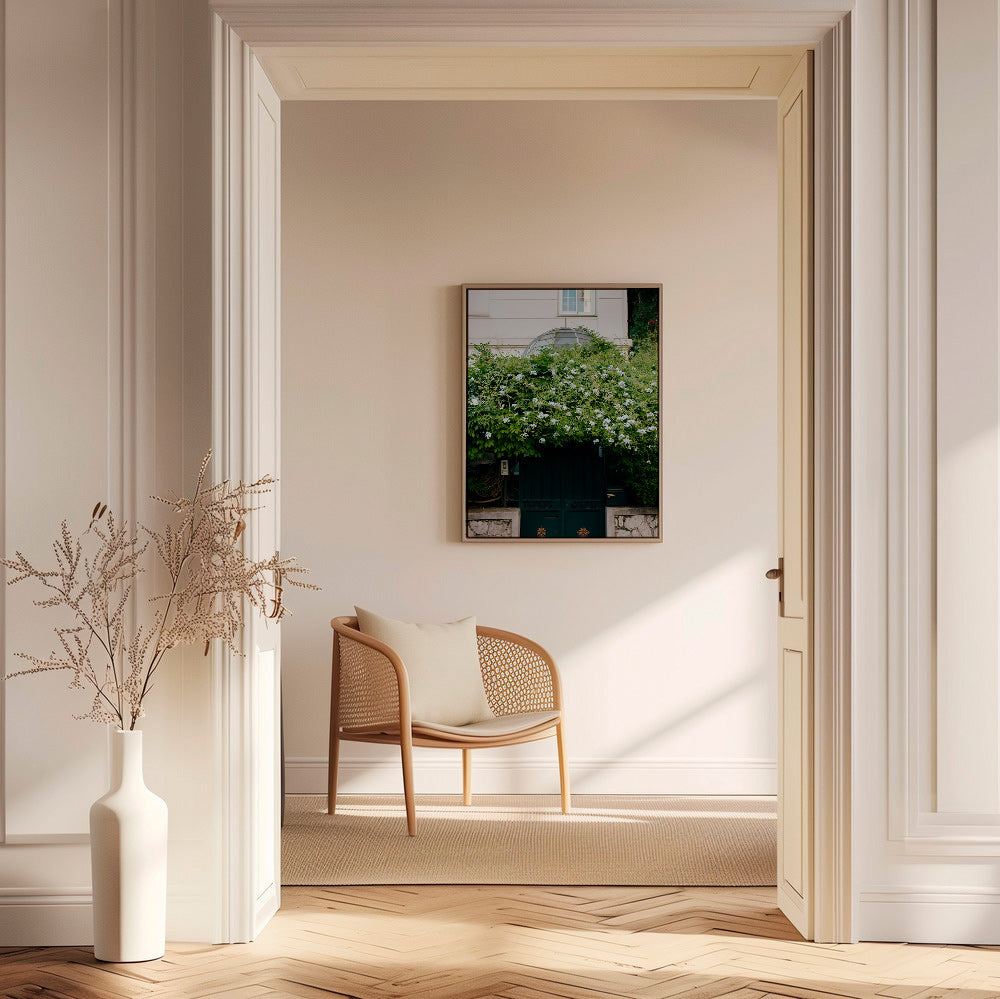 Plakat botaniczny z białą pnączową przy furtce – Canvas1