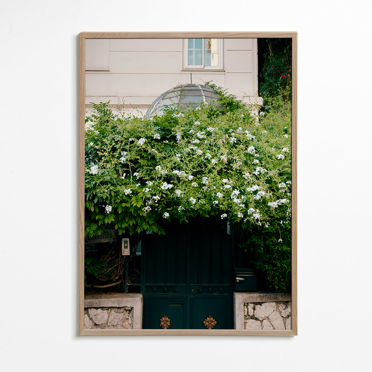 Plakat botaniczny z białą pnączową przy furtce – Oak Frame