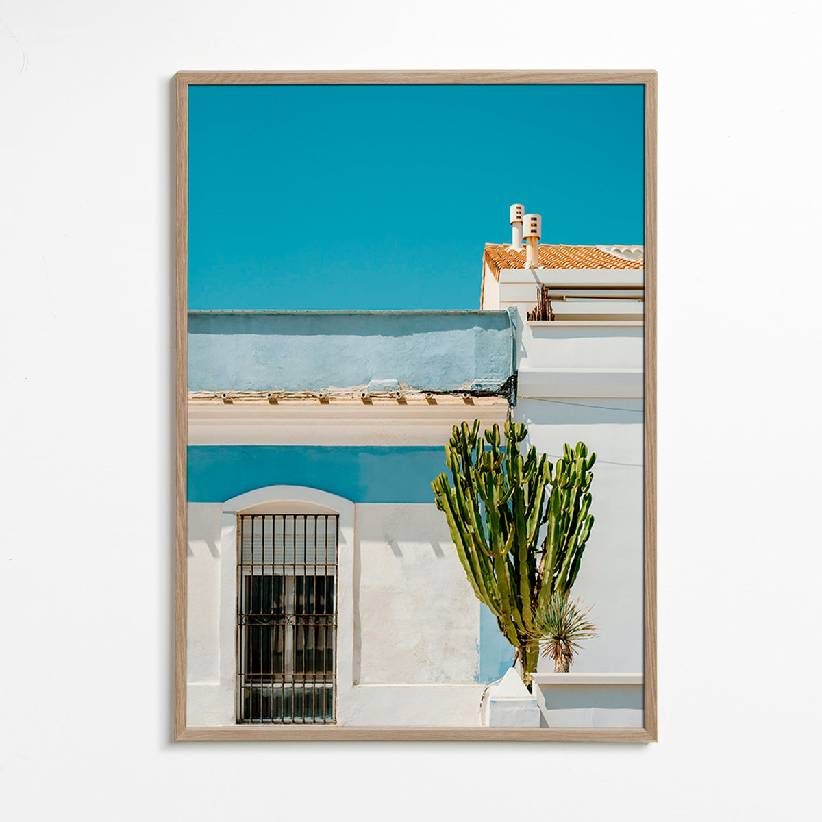 Plakat botaniczny: śródziemnomorska fasada z kaktusem – Oak Frame