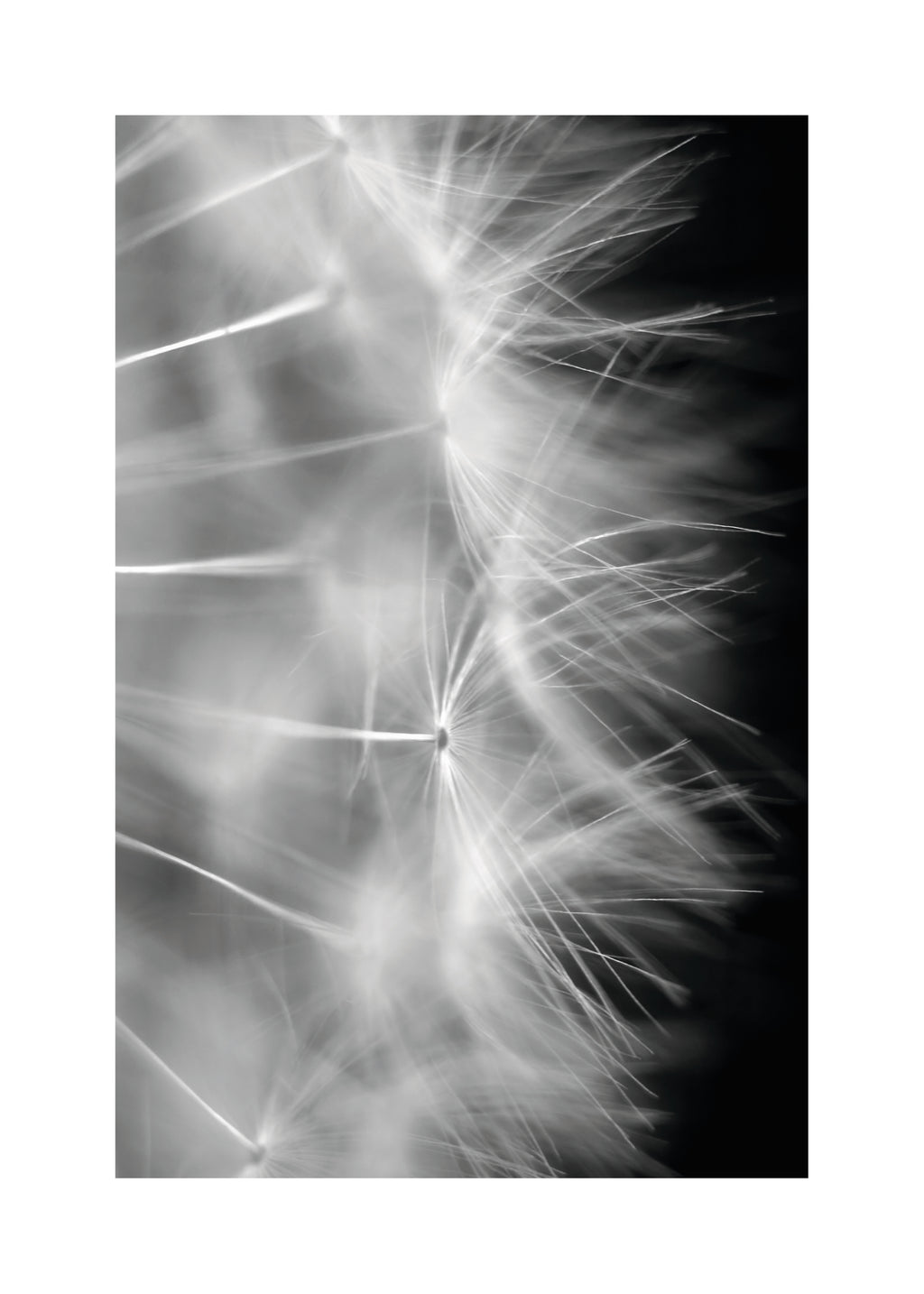 Blow it - Unframed art print