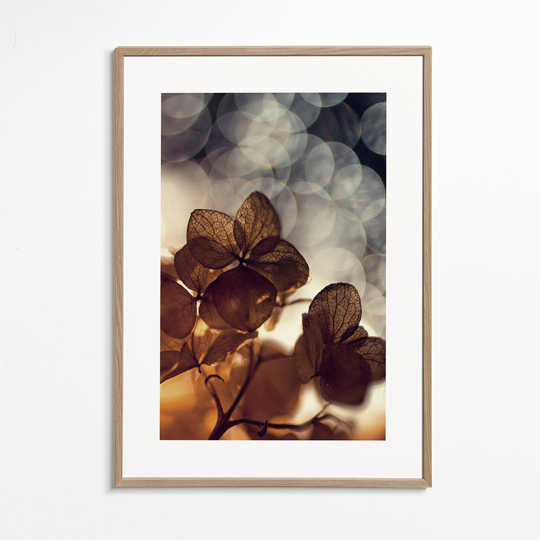 Plakat botaniczny: suche kwiaty w delikatnym bokeh