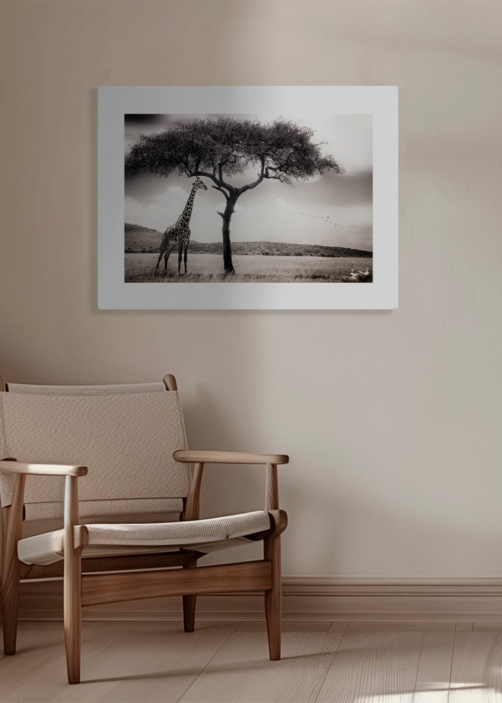 Żyrafa na sawannie fotografia