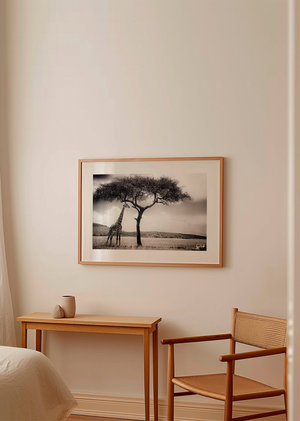 Żyrafa na sawannie fotografia