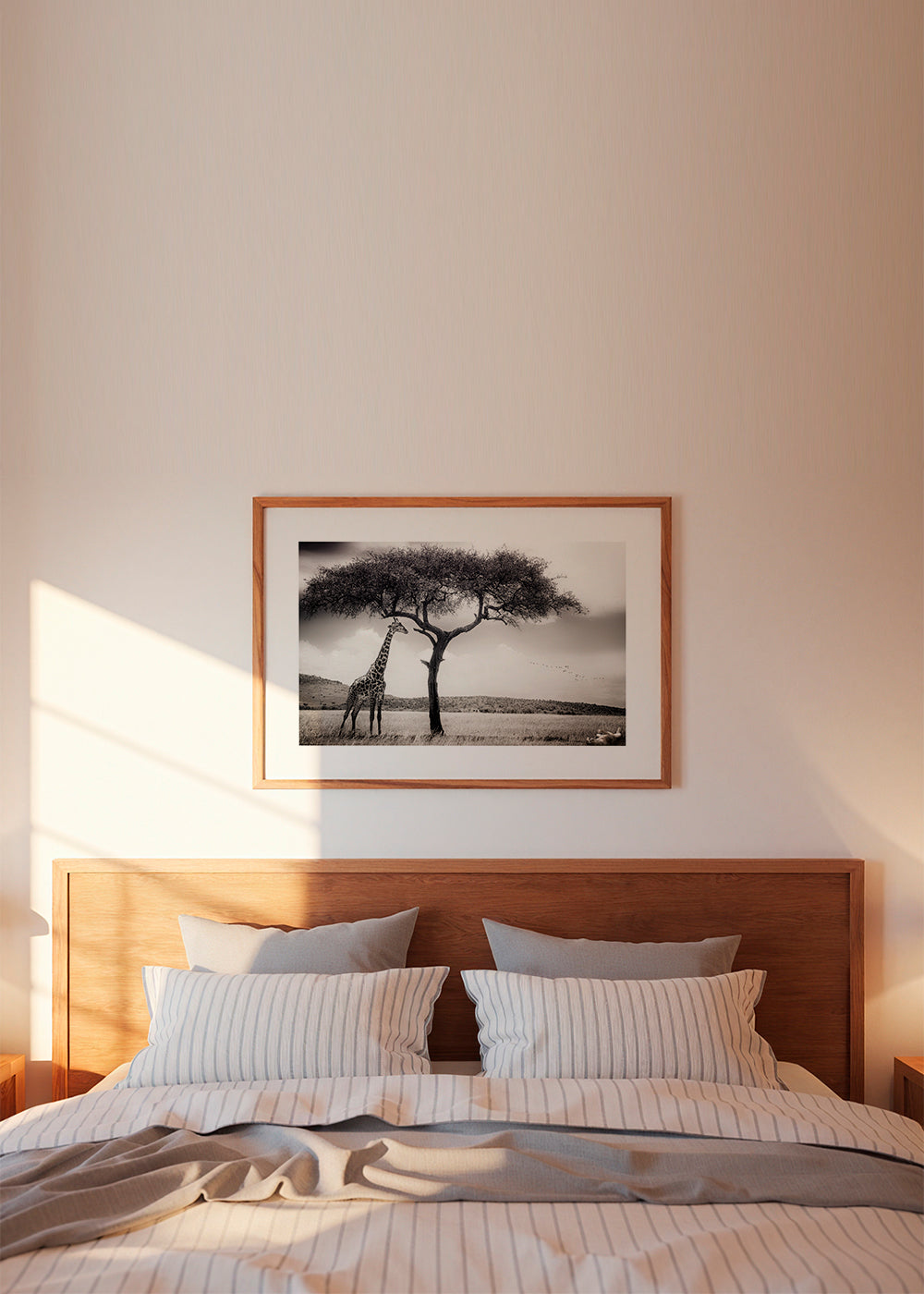 Żyrafa na sawannie fotografia