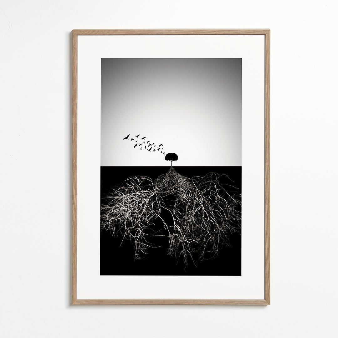 Plakat botaniczny z drzewem i graficznymi korzeniami
