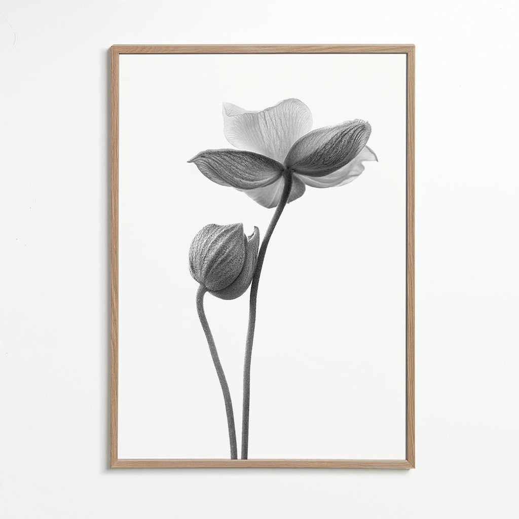 Plakat botaniczny w czerni i bieli