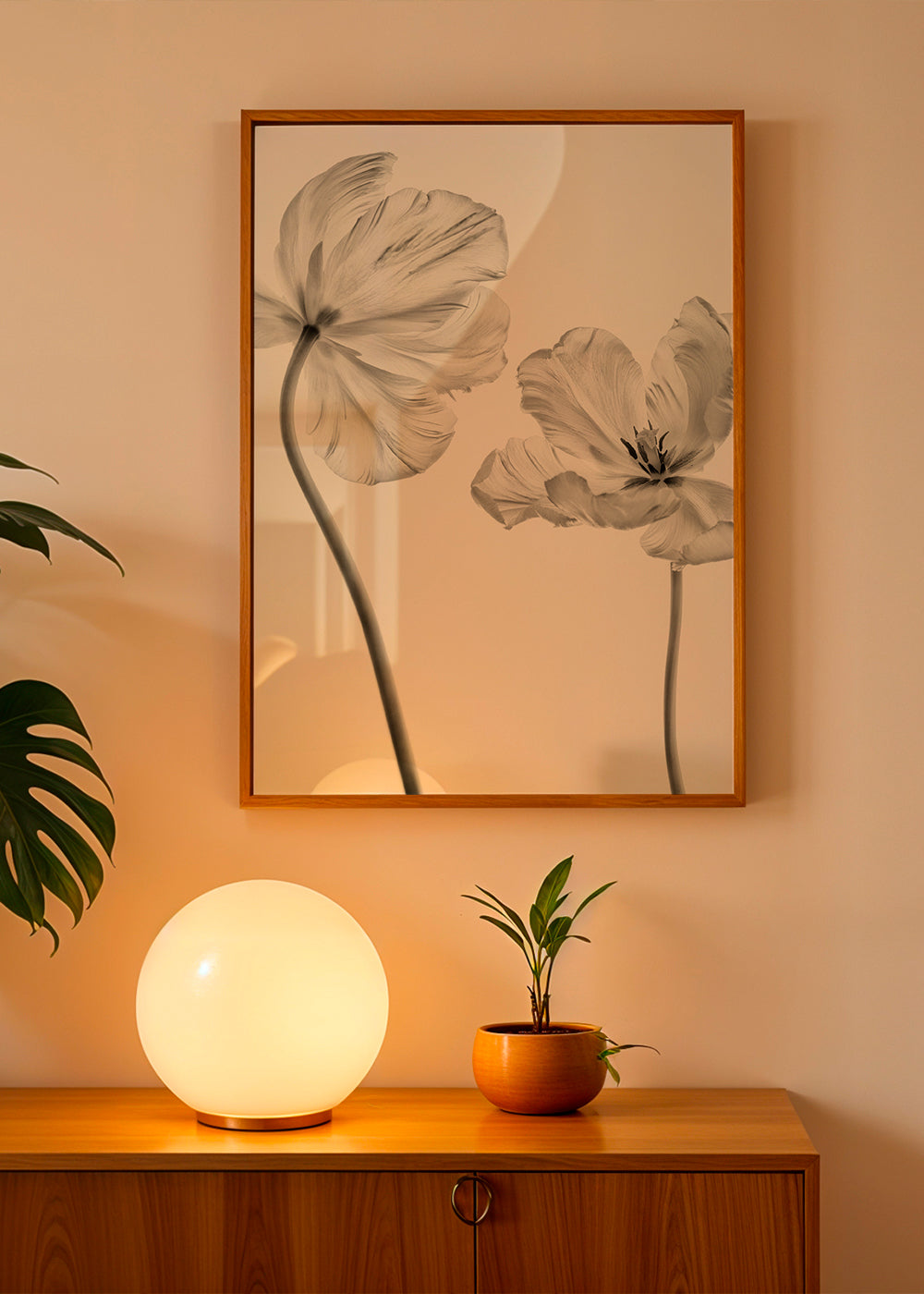 Plakat botaniczny: tulipany czarno-białe