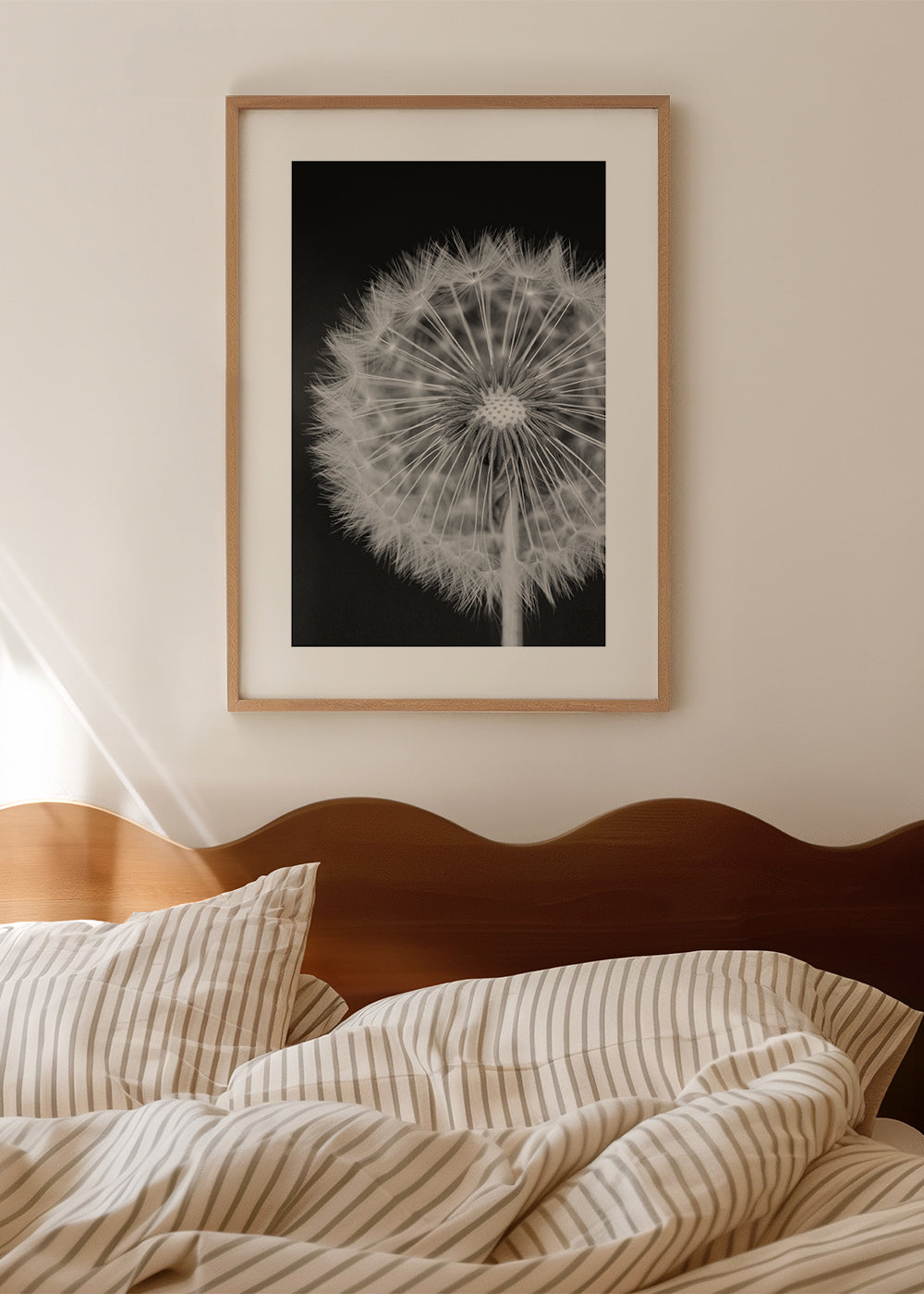 Plakat botaniczny mniszek z bliska