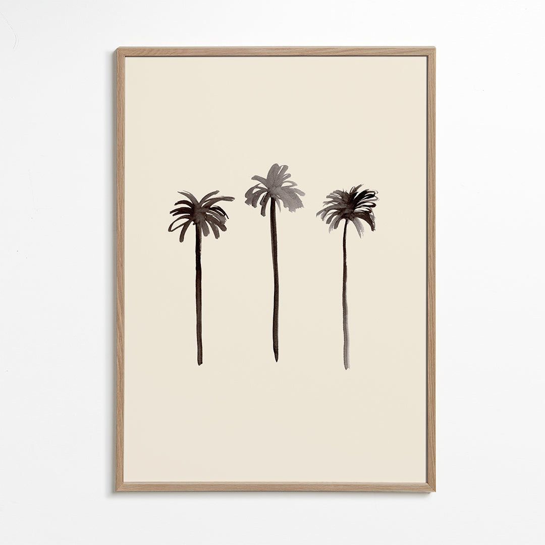 Plakat botaniczny palmy tuszowe
