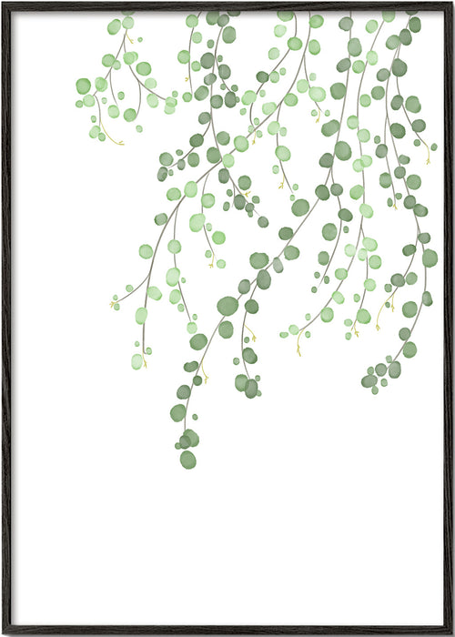 Plakat botaniczny wiszące gałęzie