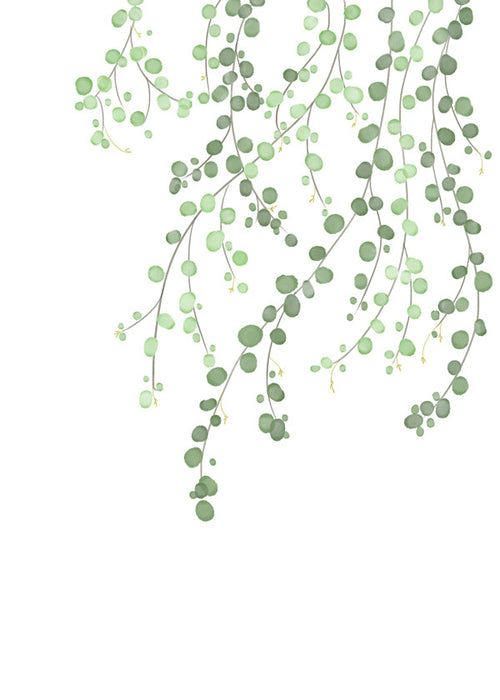 Plakat botaniczny wiszące gałęzie