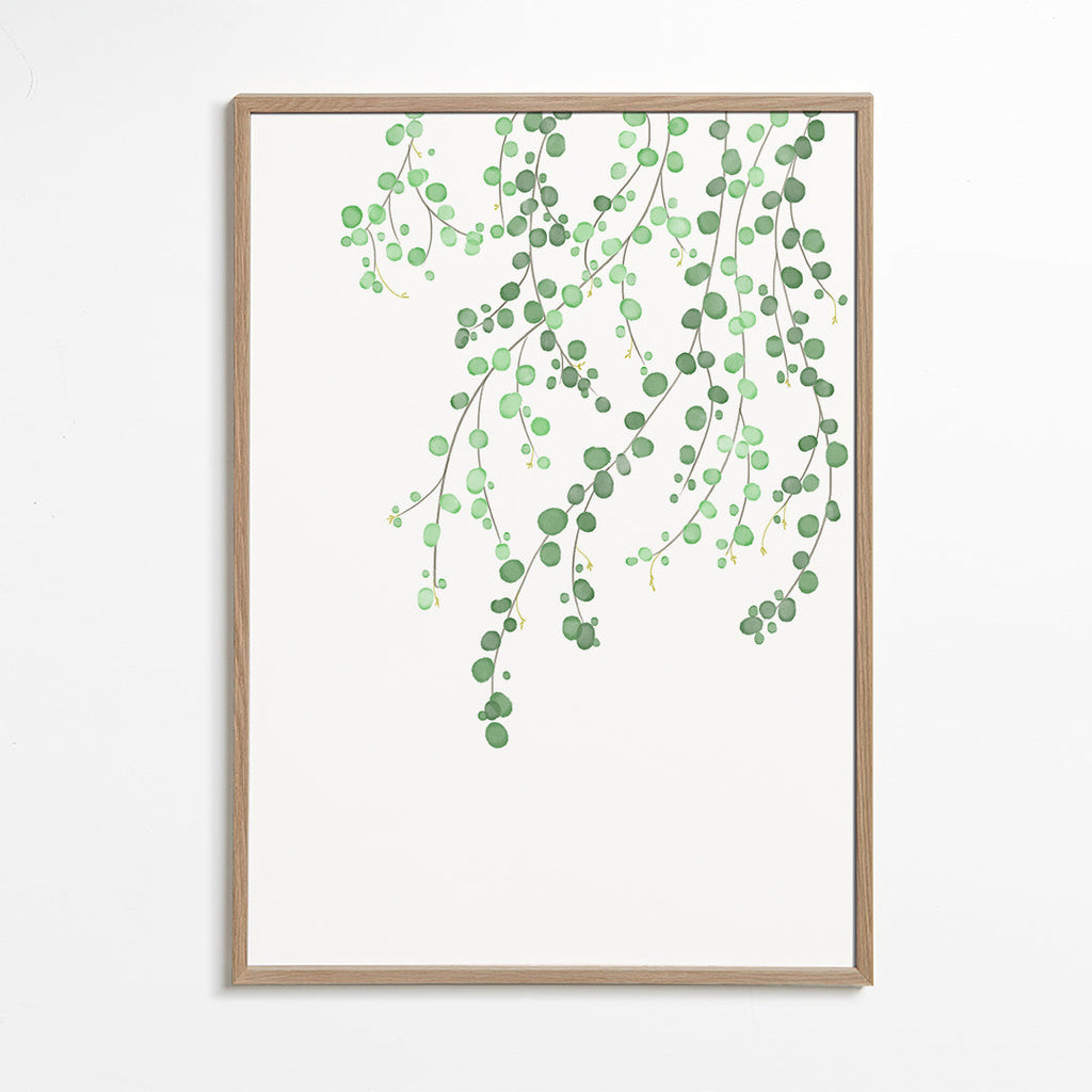 Plakat botaniczny wiszące gałęzie