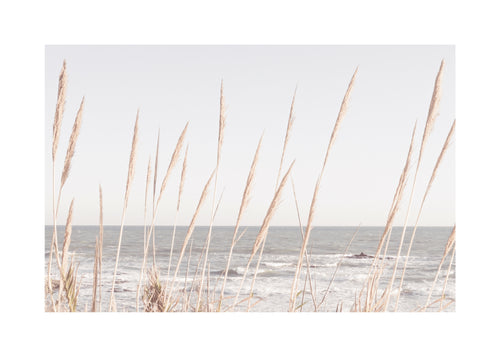 Beach Vass II - Unframed art print
