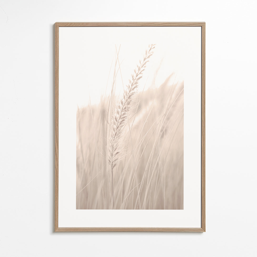 Grass V