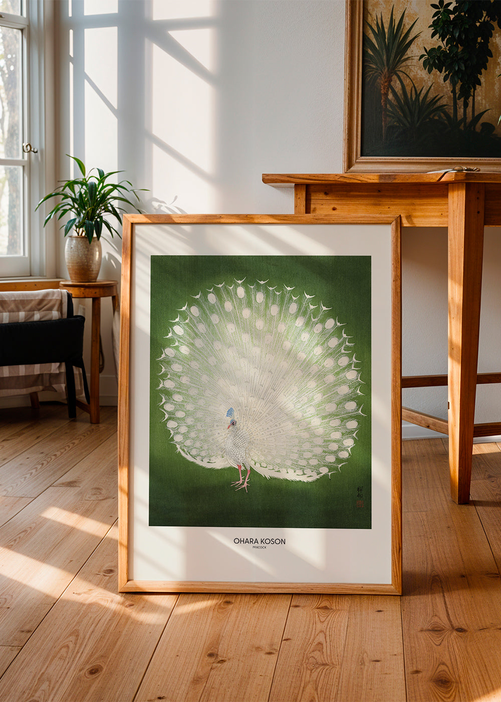 Peacock - Wide