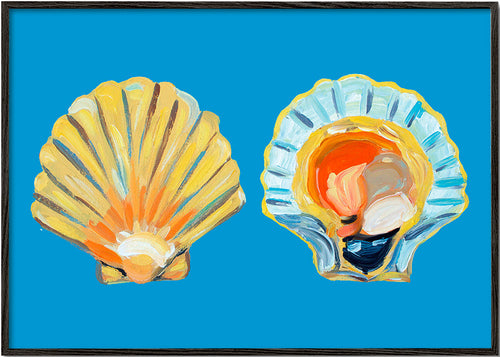 Ilustracja muszli na niebieskim tle
