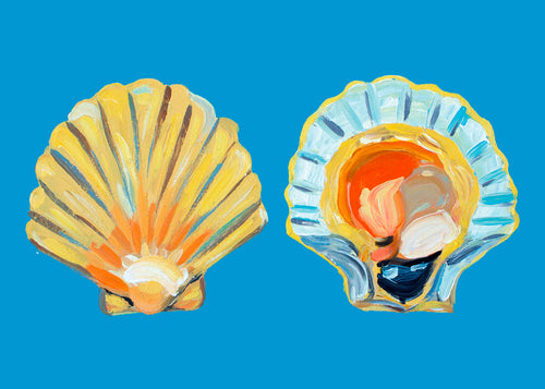 Ilustracja muszli na niebieskim tle
