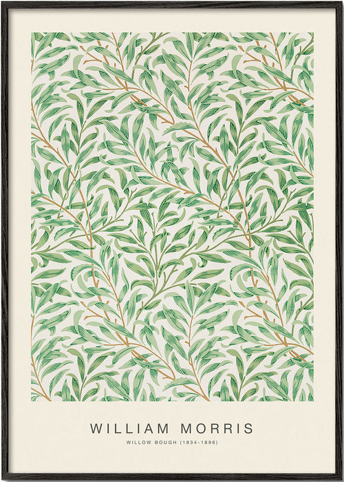 Plakat botaniczny Willow Bough liście