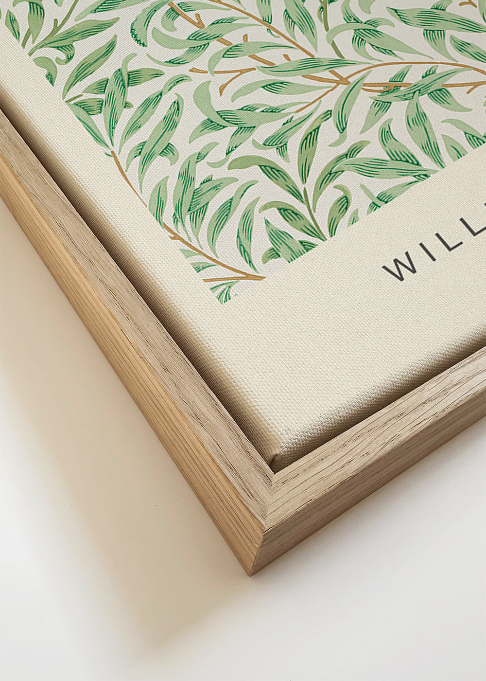 Plakat botaniczny Willow Bough liście