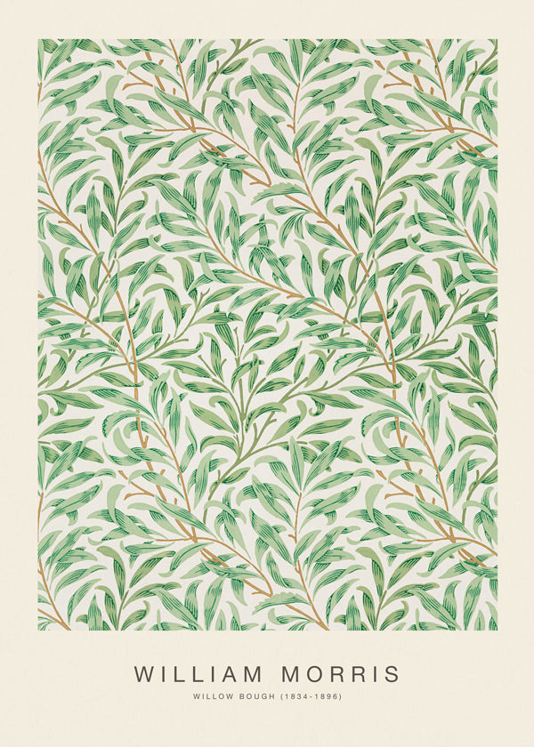 Plakat botaniczny Willow Bough liście
