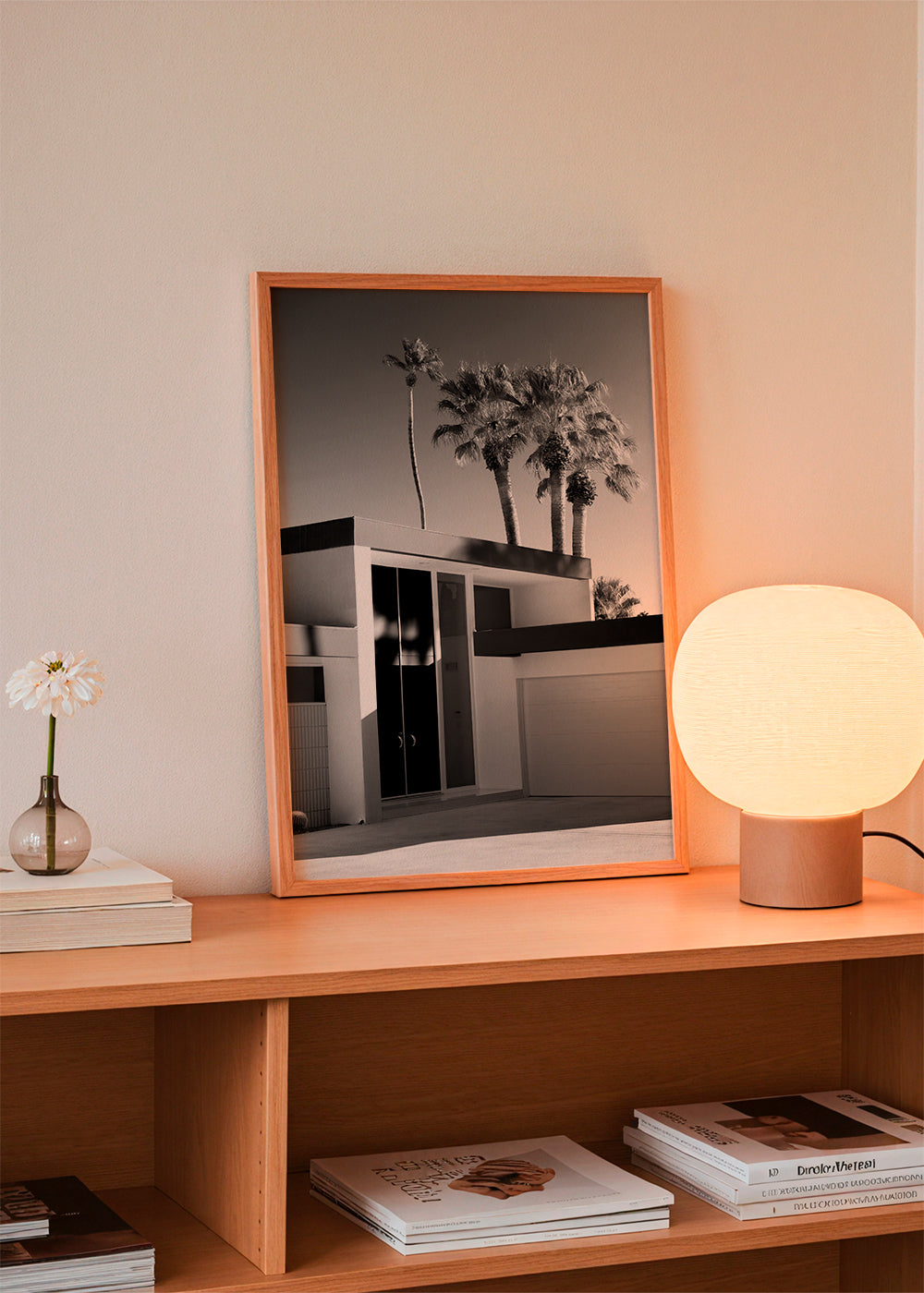 Fotografia architektoniczna Palm Springs w czerni i bieli