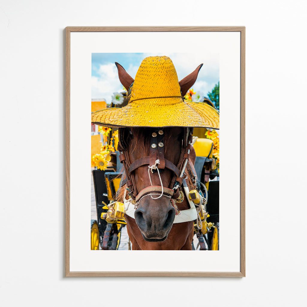 Portret konia w żółtym kapeluszu – Oak Frame