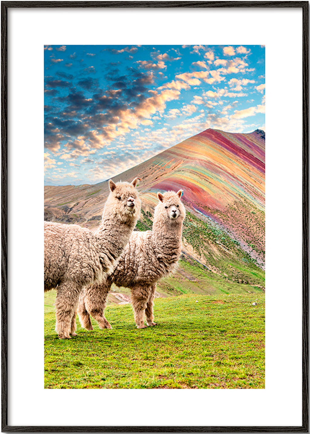 Dzieło alpaki przy tęczowej górze – Black Frame