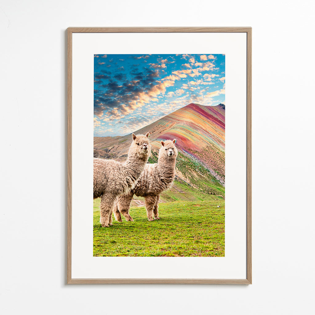Dzieło alpaki przy tęczowej górze – Oak Frame
