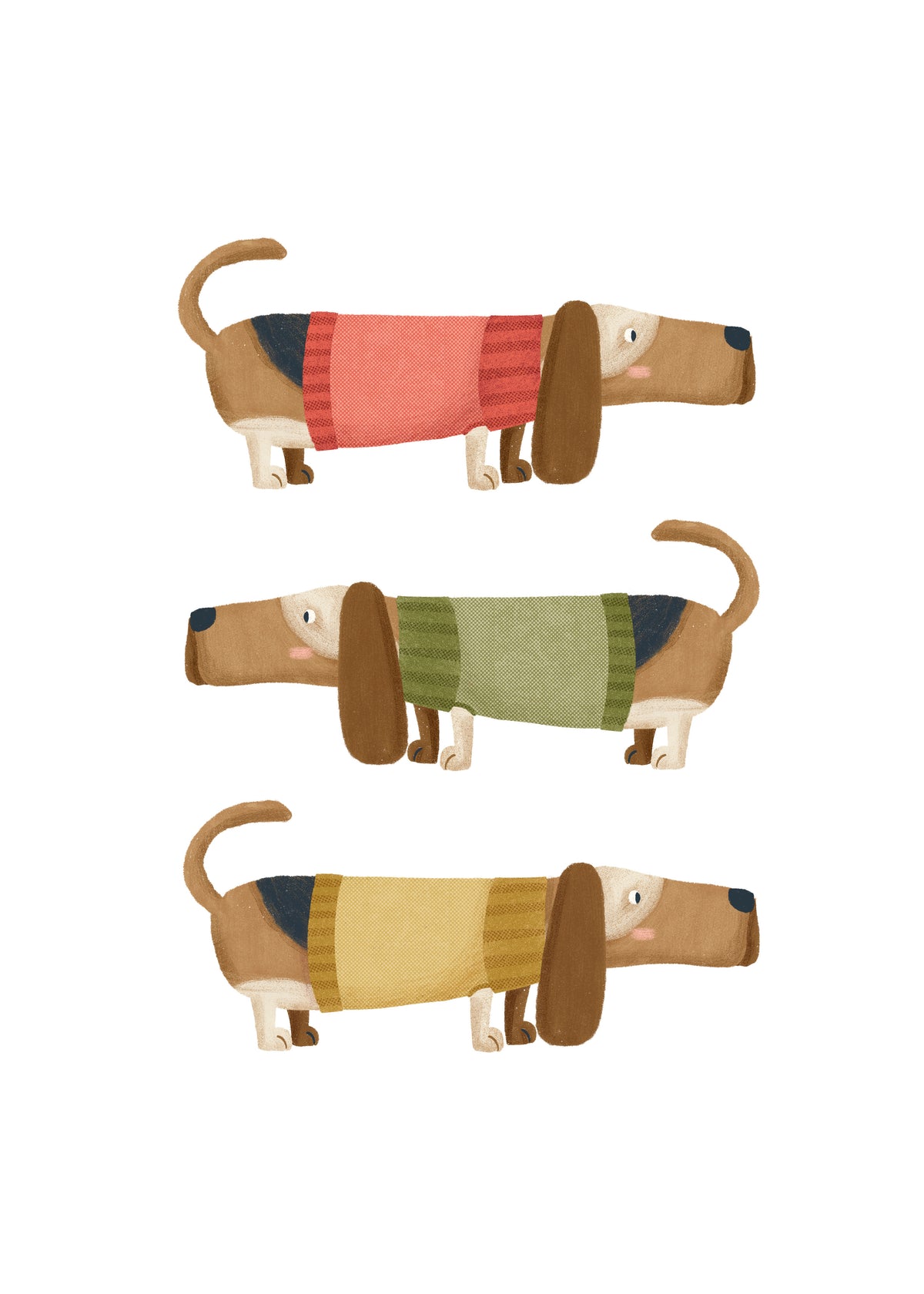 Basset Hound - Unframed art print