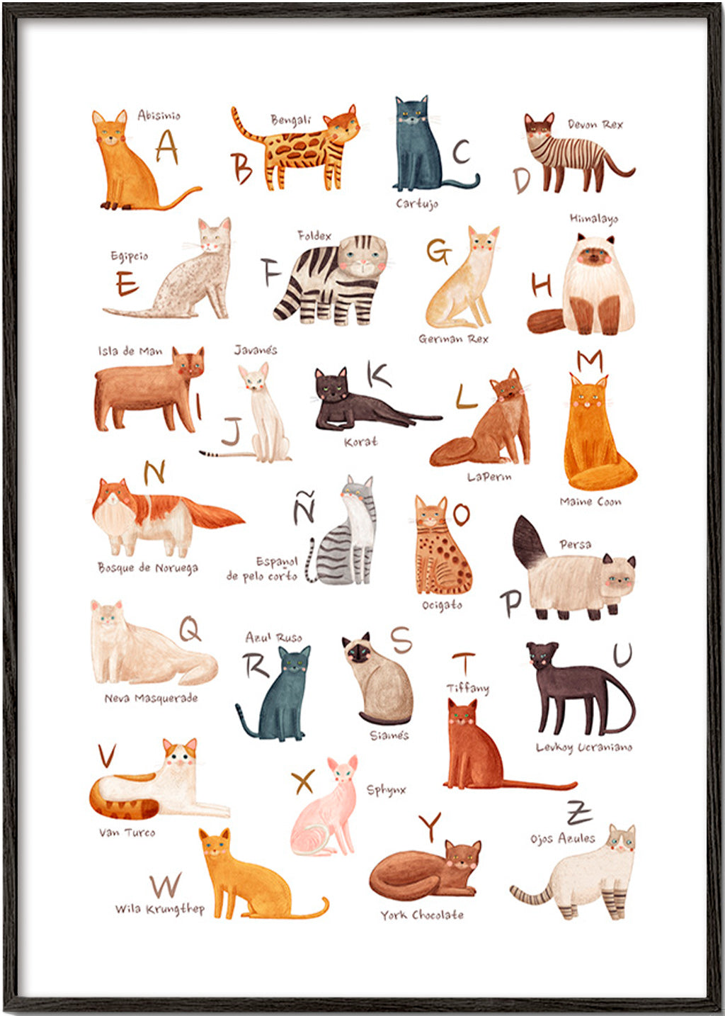 Plakat dla dzieci Alfabet kotów ilustracyjny