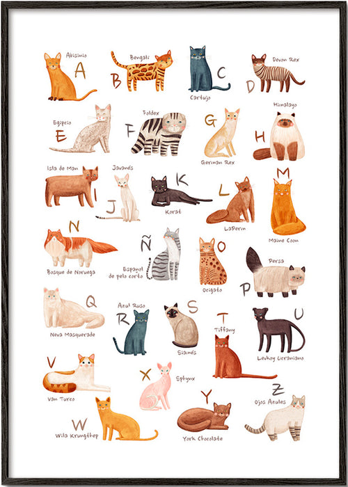 Plakat dla dzieci Alfabet kotów ilustracyjny