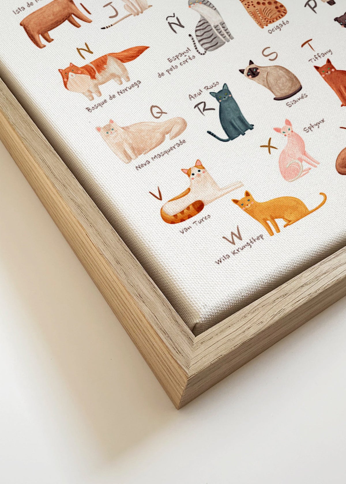 Plakat dla dzieci Alfabet kotów ilustracyjny