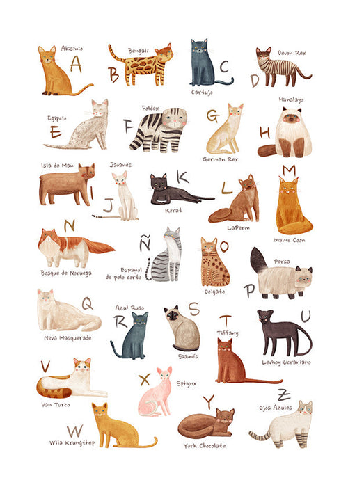 Plakat dla dzieci Alfabet kotów ilustracyjny