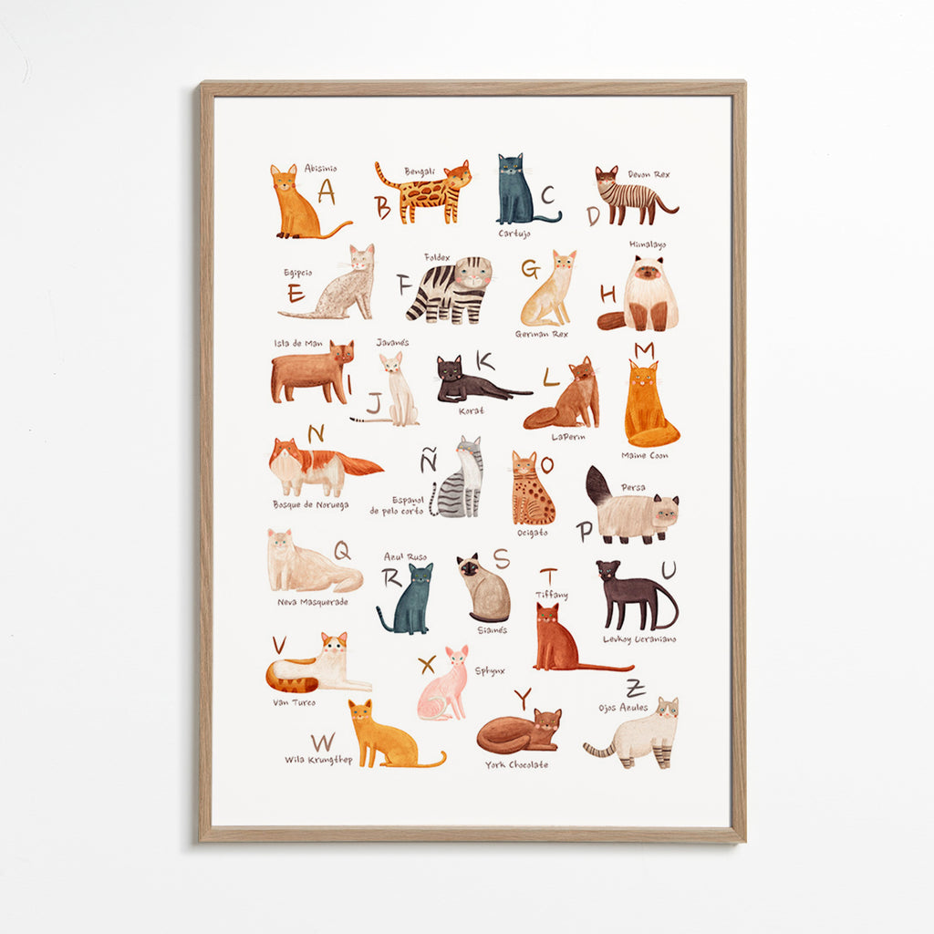 Plakat dla dzieci Alfabet kotów ilustracyjny