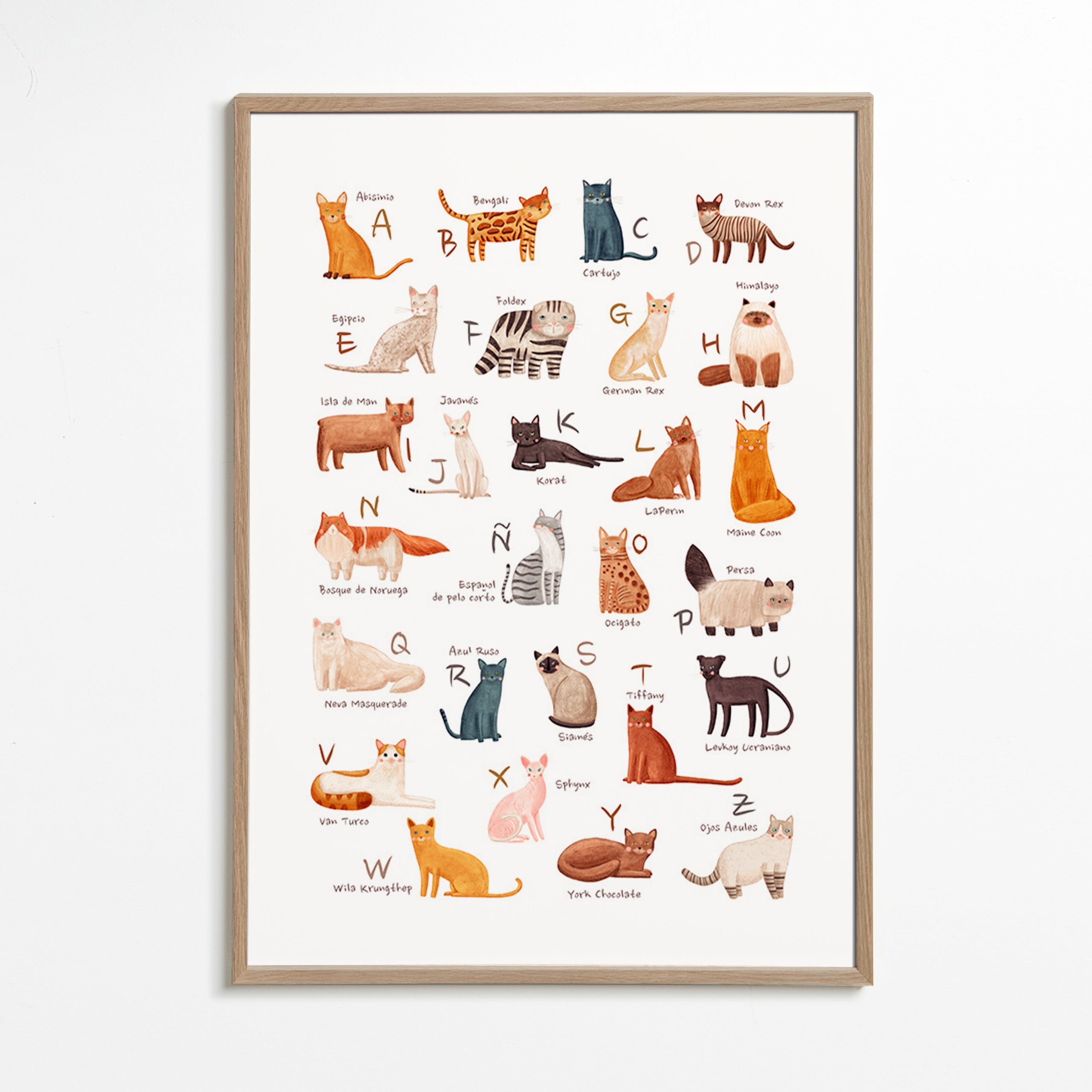 Plakat dla dzieci Alfabet kotów ilustracyjny