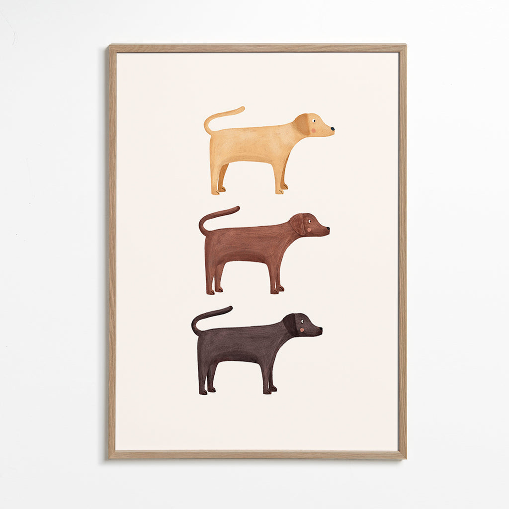 Plakat trzy labradory minimalistyczne